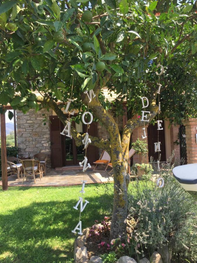 B&B La Nonnina Del Cilento Казаль-Веліно Екстер'єр фото